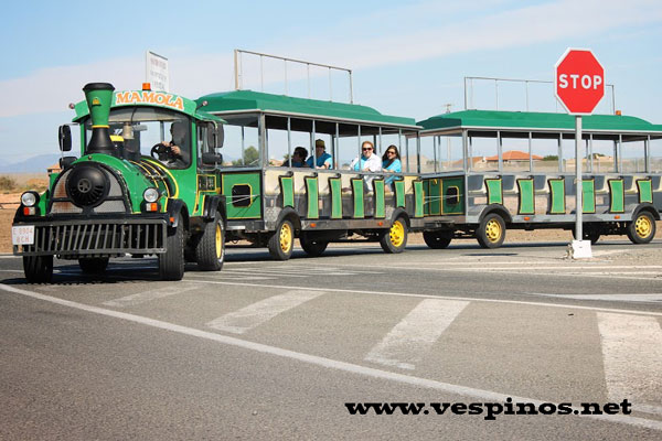 5 Concentracin Nacional de Vespinos. Puente la Reina.