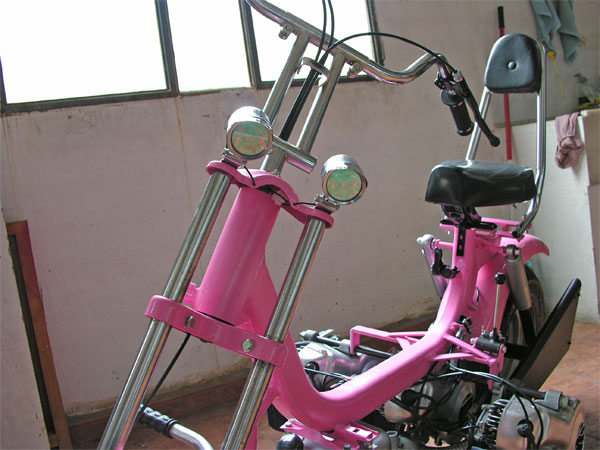 Vespino Pantera Rosa. Detalles